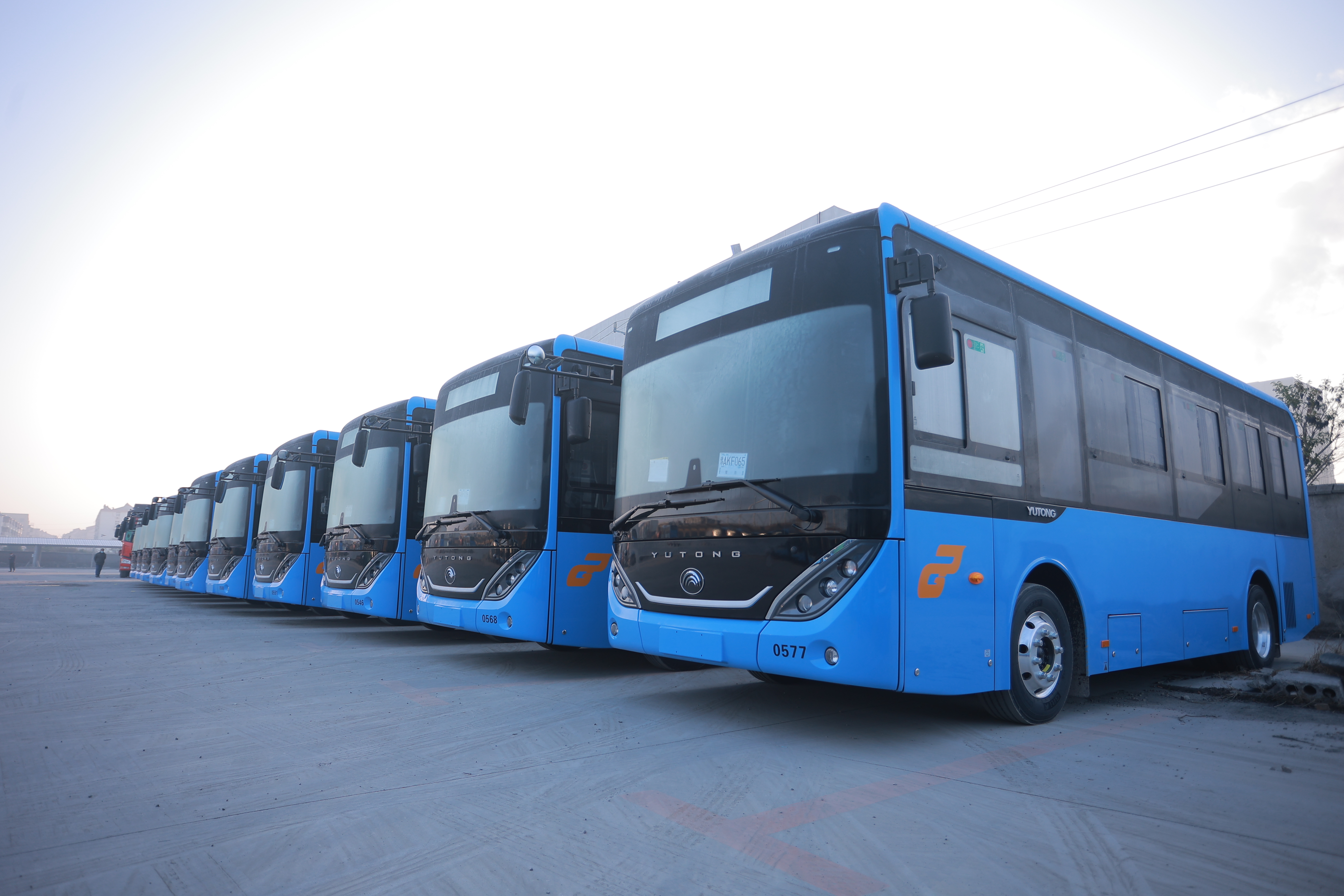惠民再“上新”！公交集團購置482臺純電動公交車